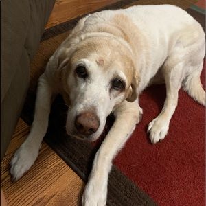 Meet your Posher, Candice